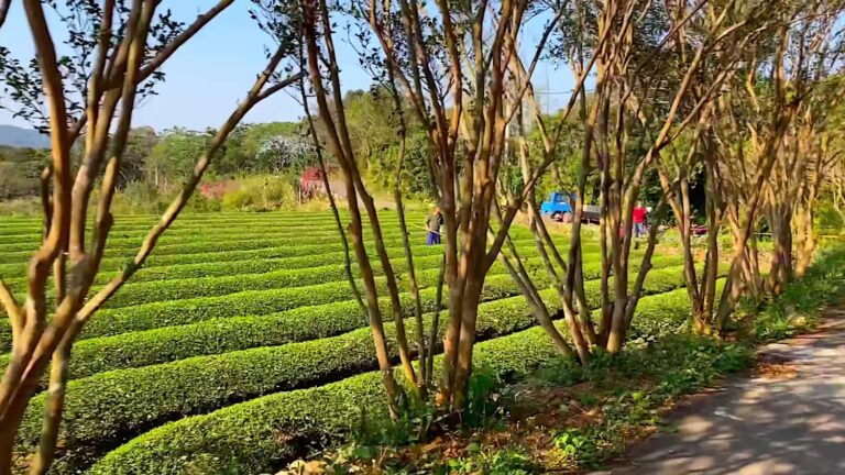 環境教育景點懶人包 全台 8 處適合親子與慢旅行的自然學習地圖