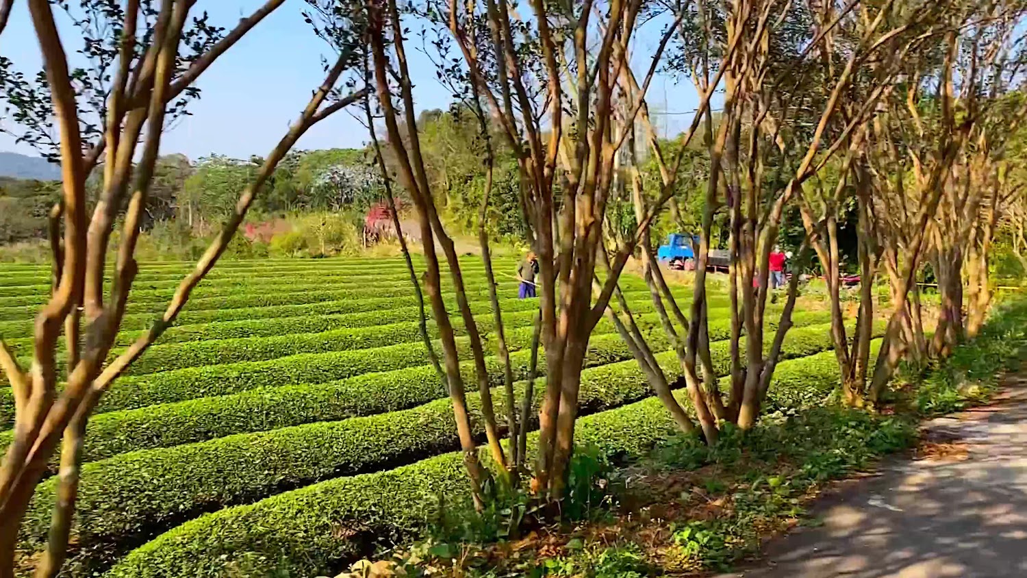 環境教育景點懶人包 全台 8 處適合親子與慢旅行的自然學習地圖