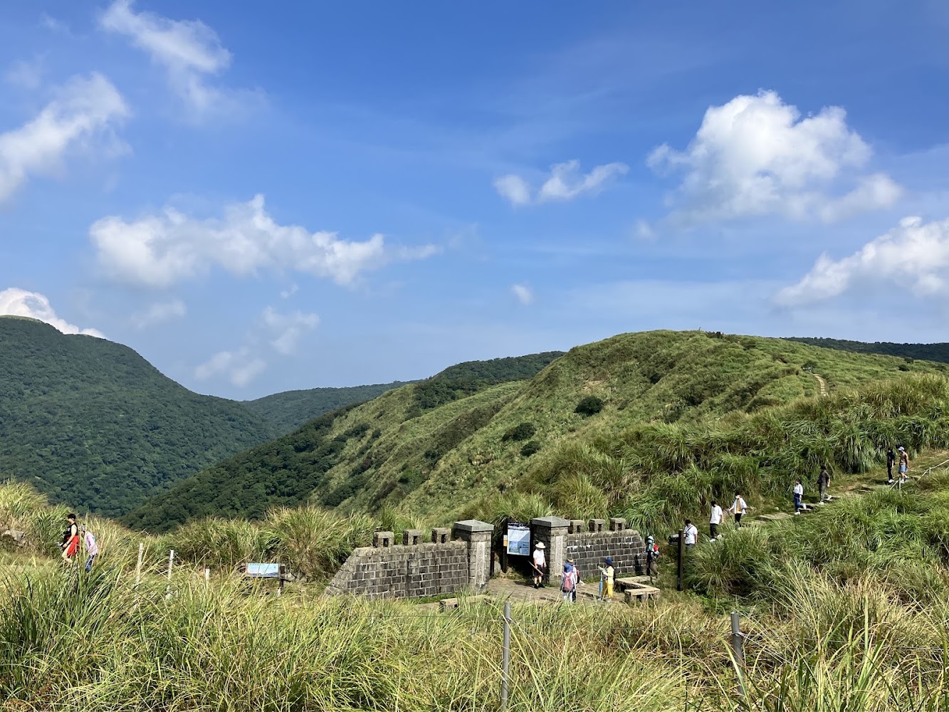 魚路古道深度健行攻略 金包里大路到擎天崗的森林溪谷與草原風景一次收錄