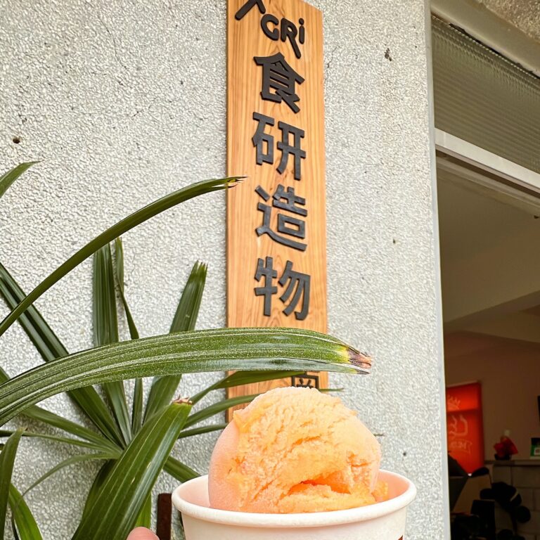手拿南州糖廠古早味冰淇淋,背景是食研造物招牌