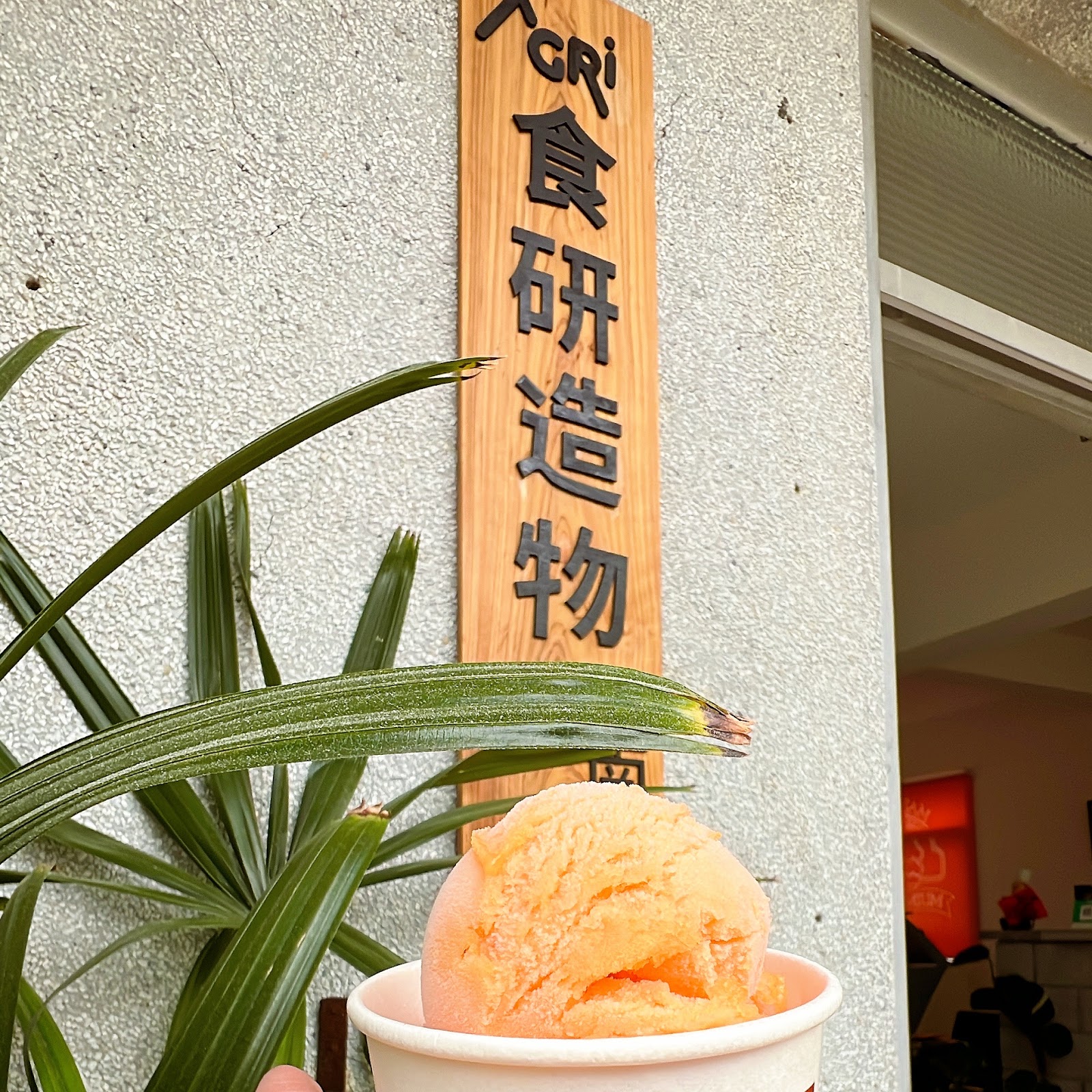 手拿南州糖廠古早味冰淇淋，背景是食研造物招牌
