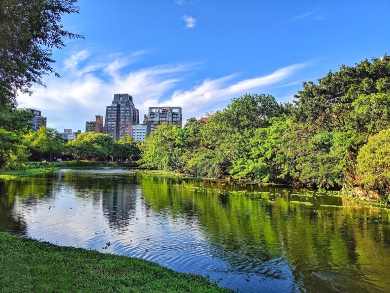 台北大安森林公園生態池,翠綠樹影映照水面,都市中的寧靜綠洲