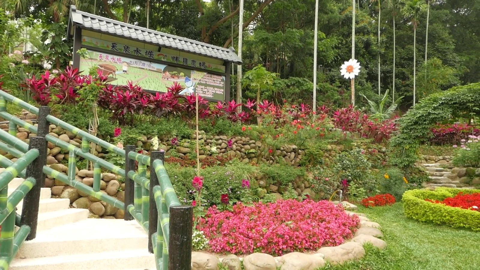 應化大排生態園區花圃,竹製欄杆石階梯台,彩色花圃盛放,園區步道旁綠意盎然