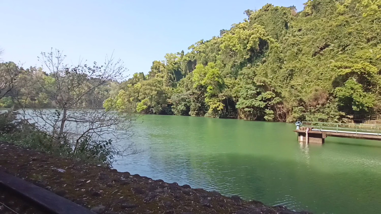 後慈湖寧靜湖景與木平台