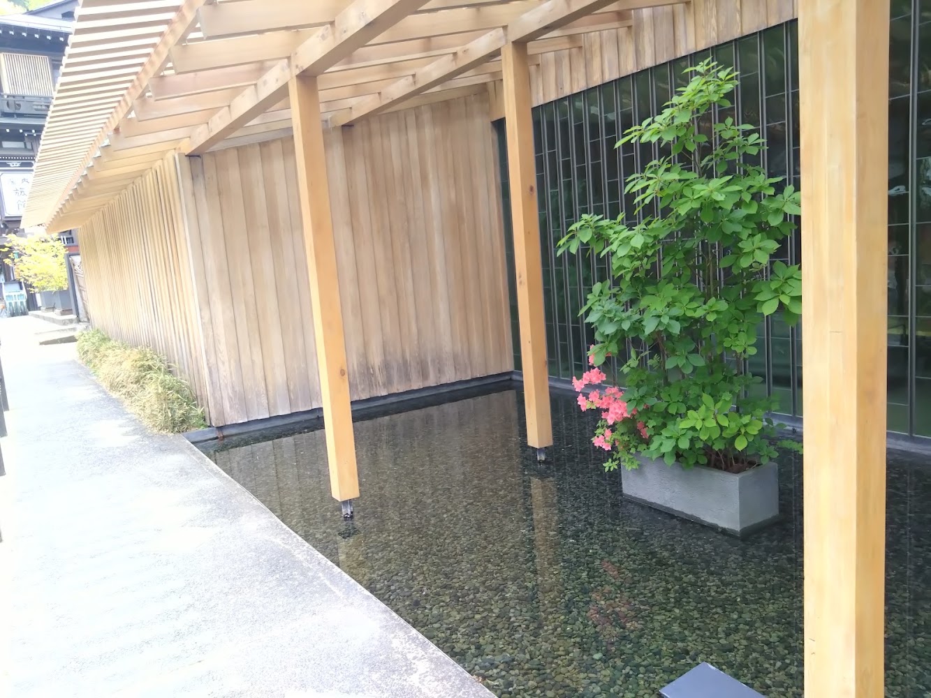現代日式風格建築與水池盆景