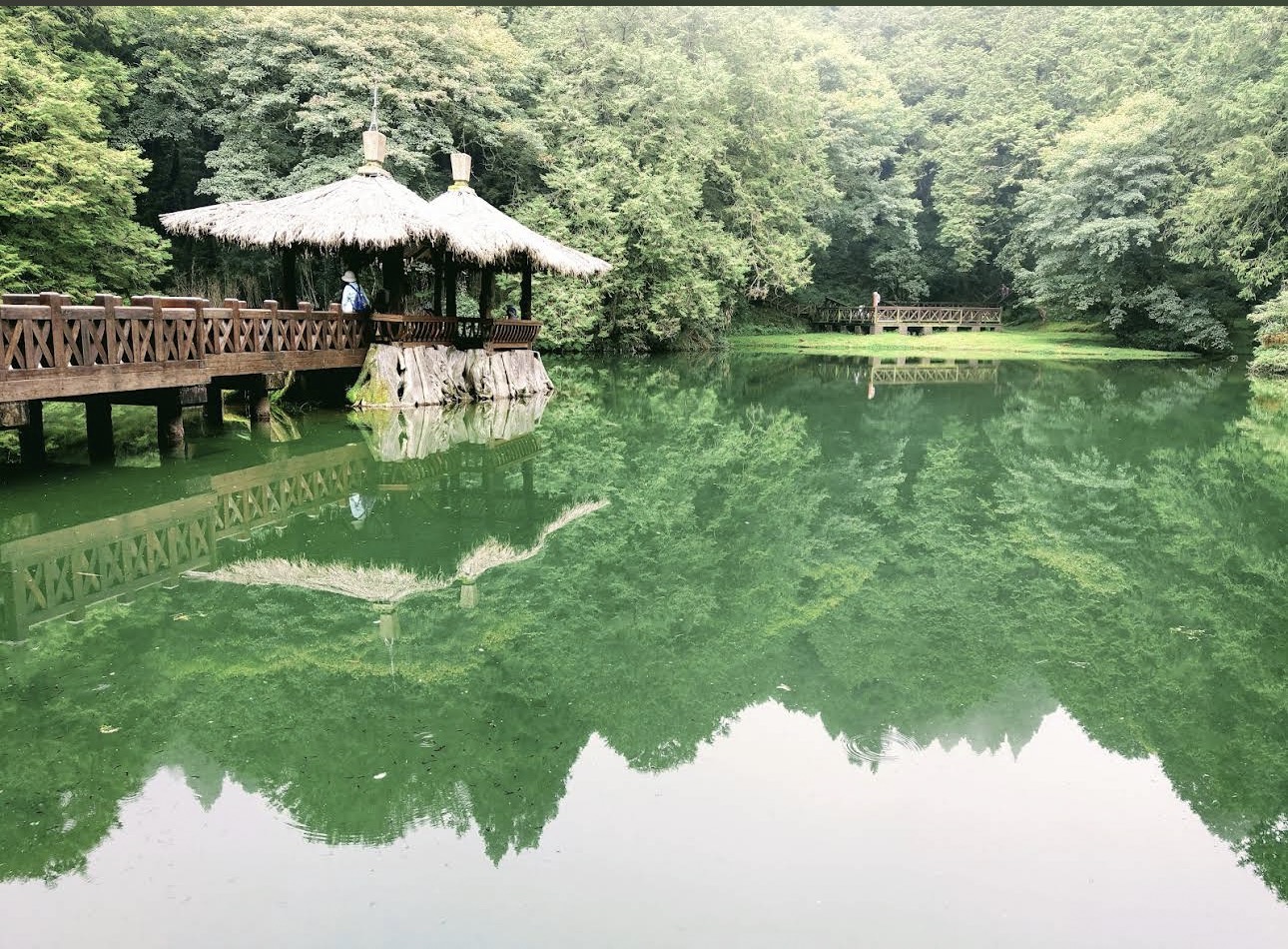 阿里山國家森林遊樂區湖景與涼亭