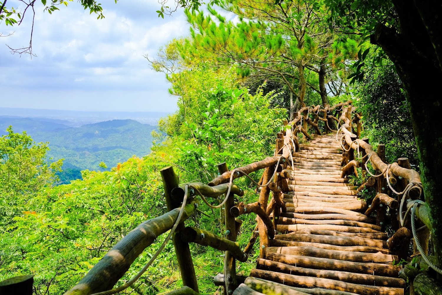 大坑森林木棧道遠景