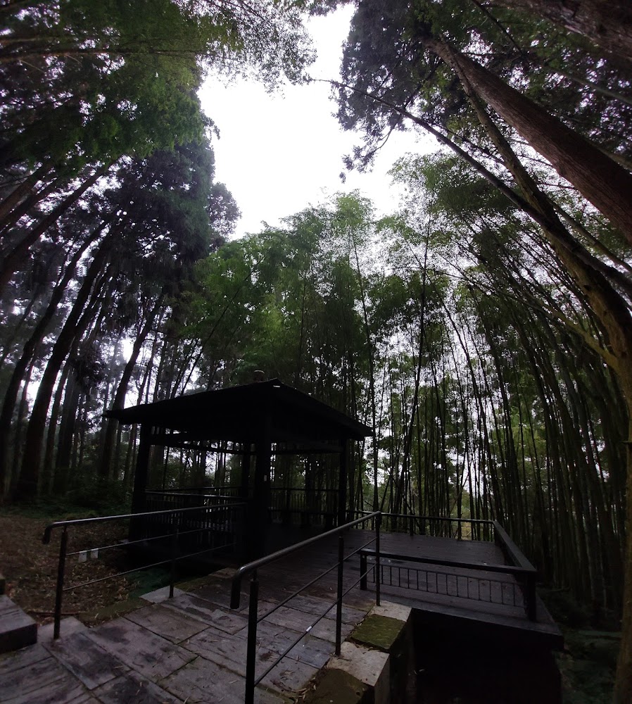森林中的涼亭與竹林步道景觀