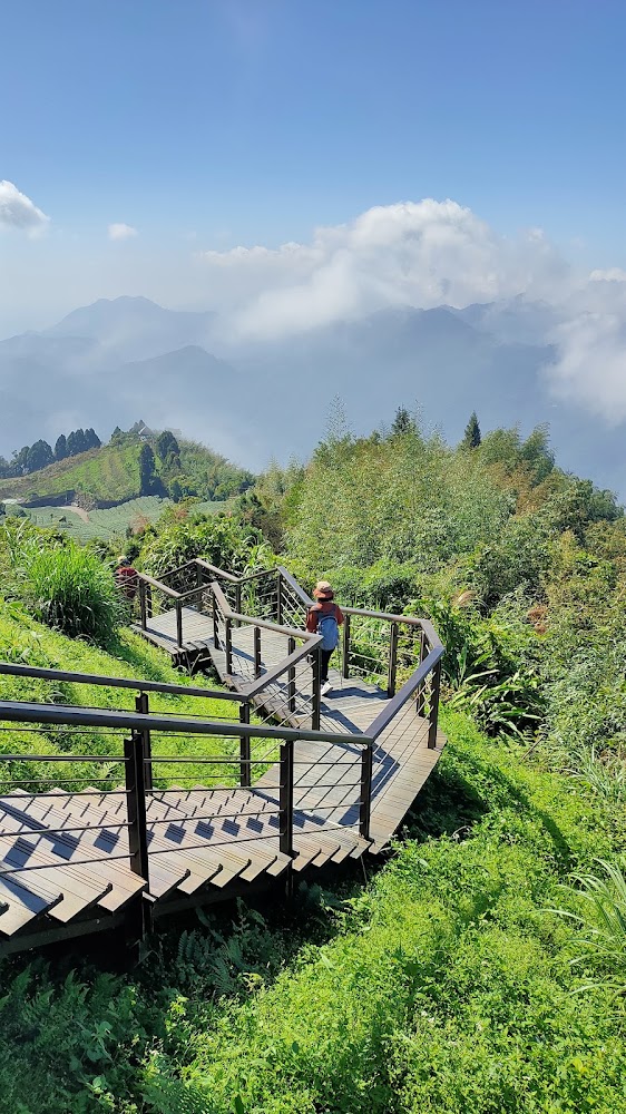 木棧道與雲霧山景