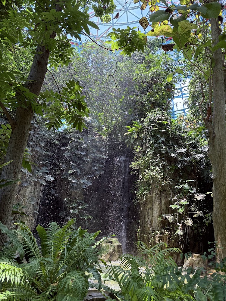 植物園溫室瀑布與熱帶植栽景觀