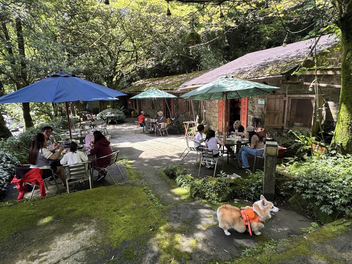 常青廬森林戶外用餐區
