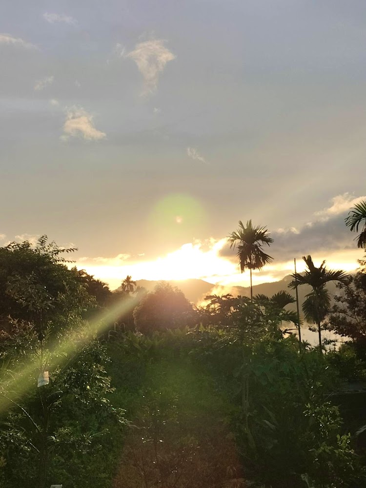 龍坊原味附近夕陽山景,樹林與光影層次分明