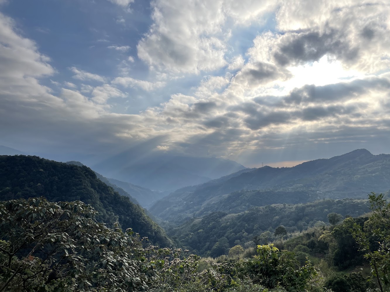東眼山遠山層疊景觀