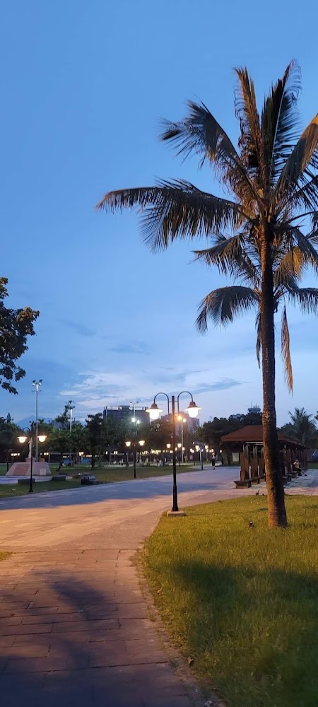 台東公園椰子樹步道與點亮的街燈景色