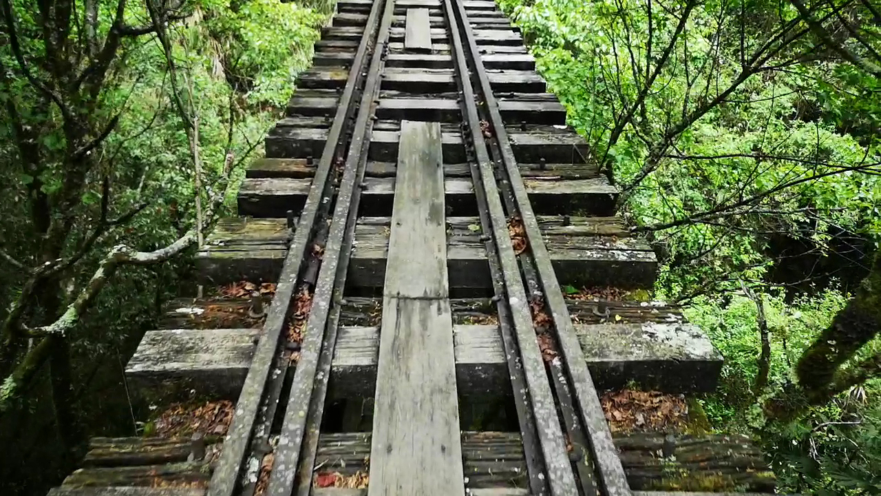 眠月線舊鐵道木枕與森林步道景觀