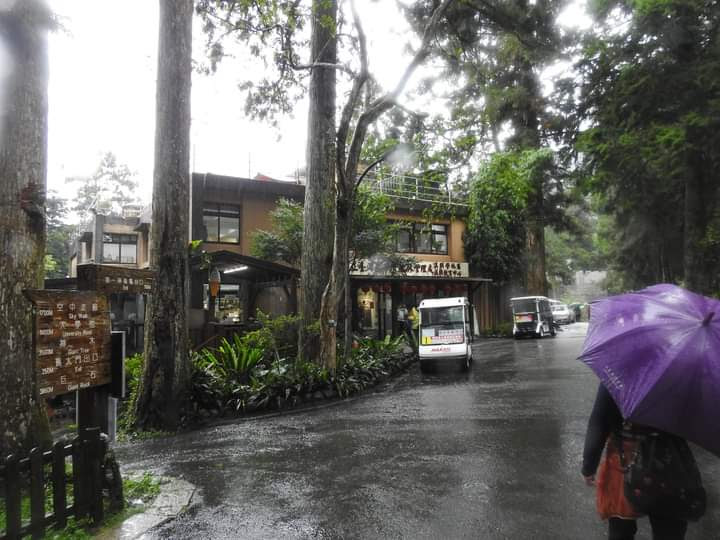 南投雨中森林小路與建築