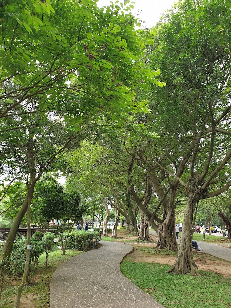 八德埤塘自然生態公園林蔭步道