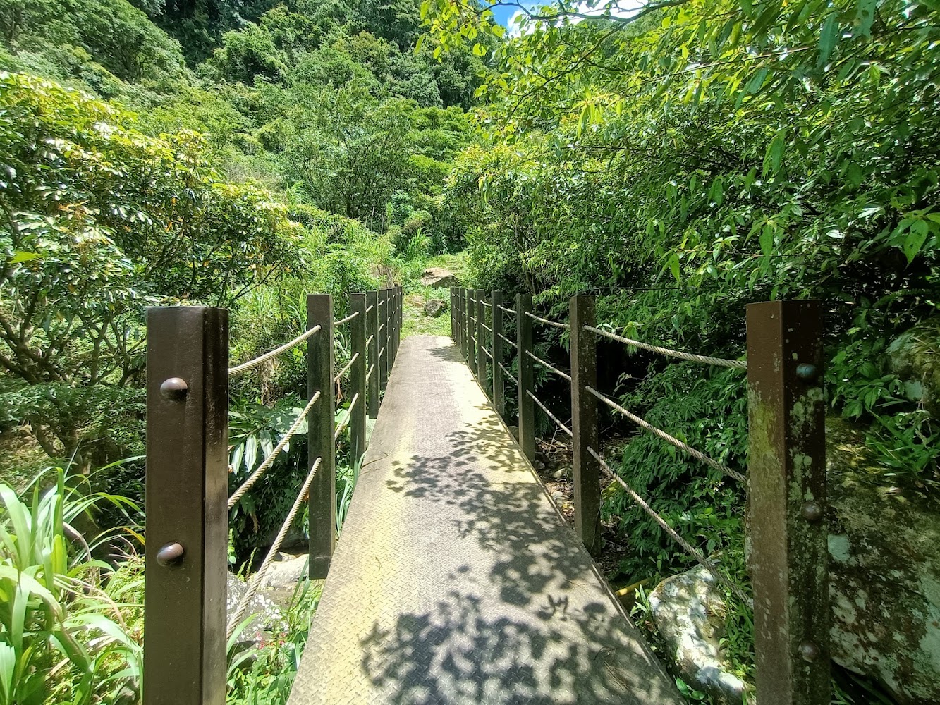 森林中的小鐵橋