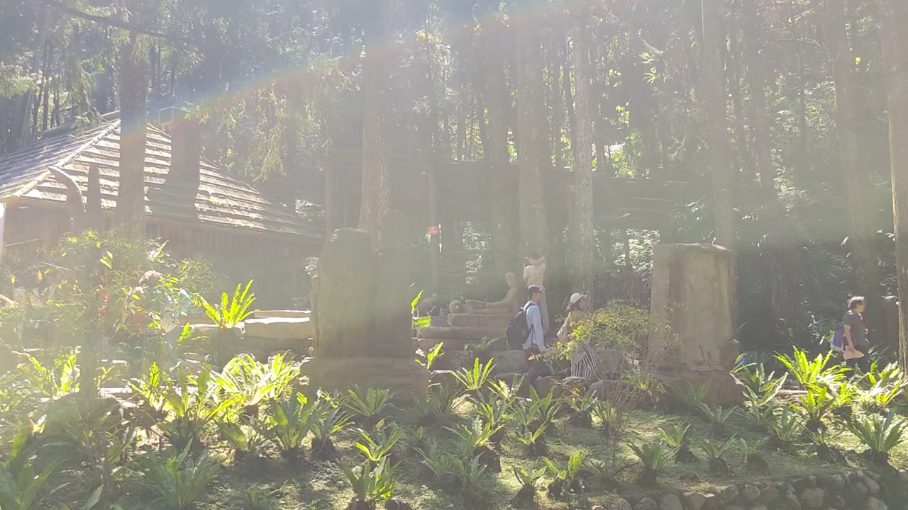 九族文化村森林中的傳統木造建築