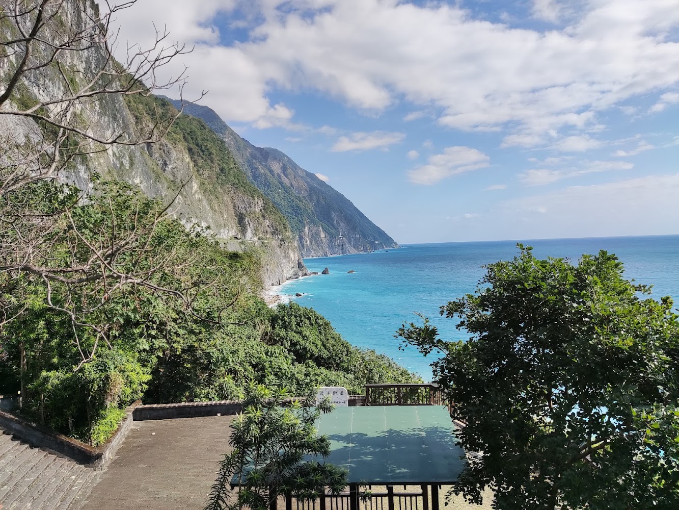 花蓮海岸線與陡峭山壁，前景有樹木和觀景台