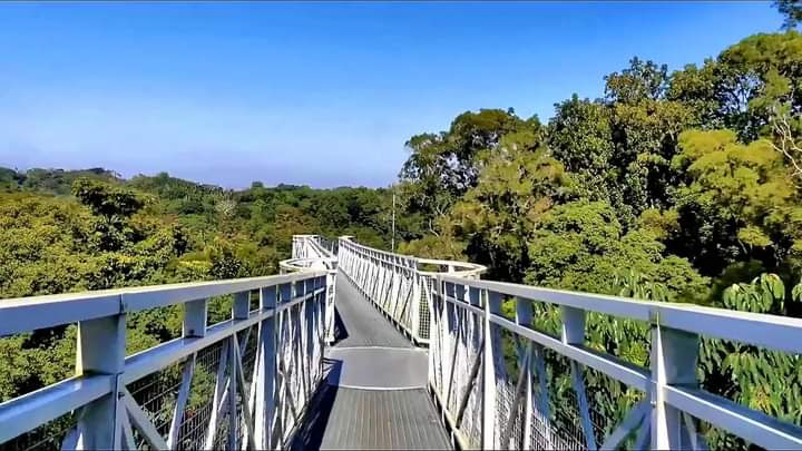 竹崎親水公園空中鐵橋步道景觀