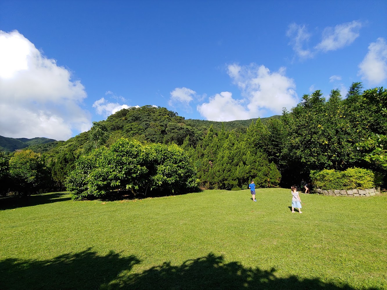 千蝶谷草地與四周山林環境