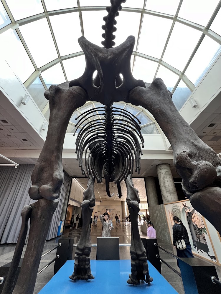 國立自然科學博物館大廳恐龍骨架展區