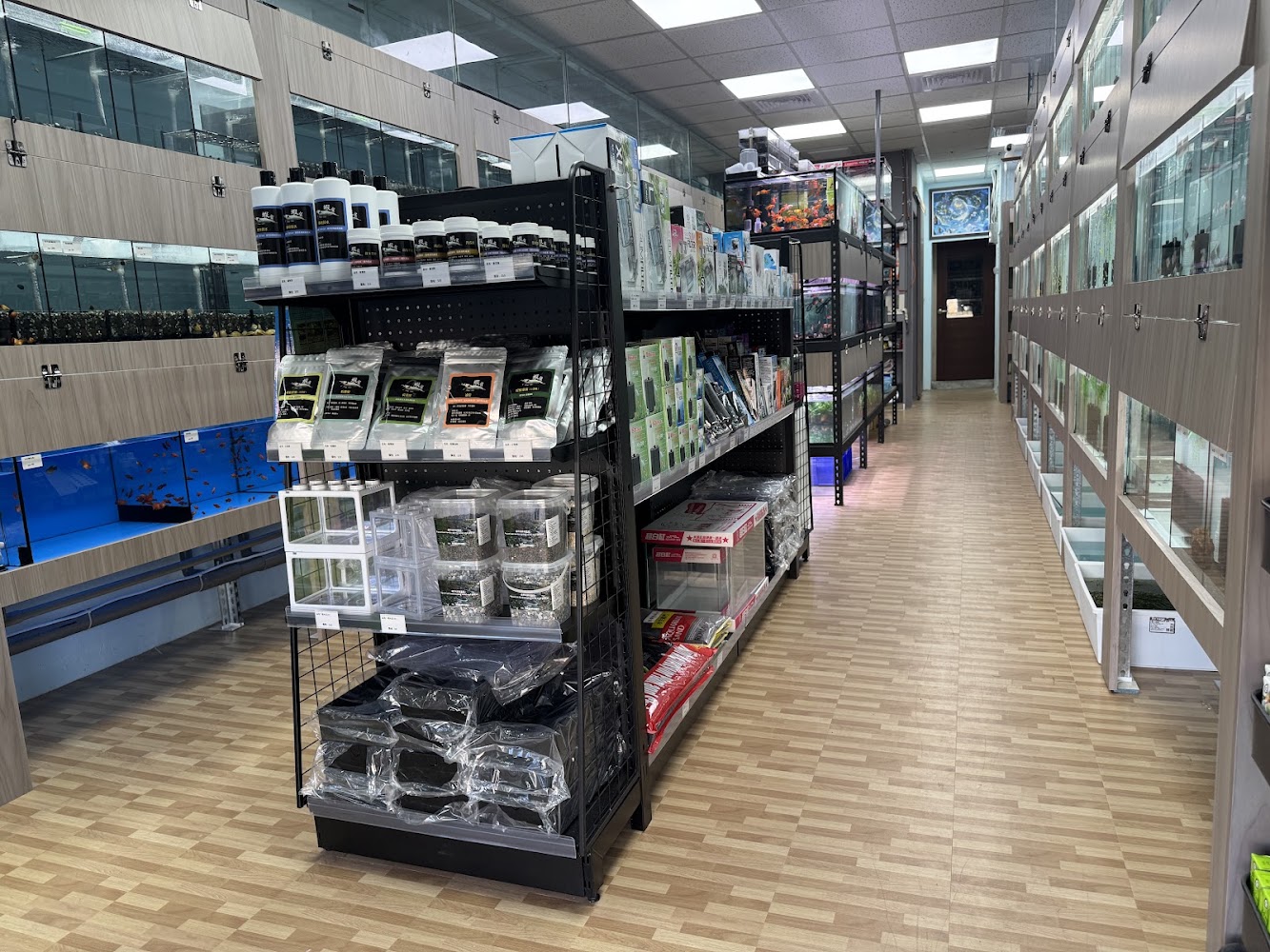 巷弄水族 用品與魚缸陳列