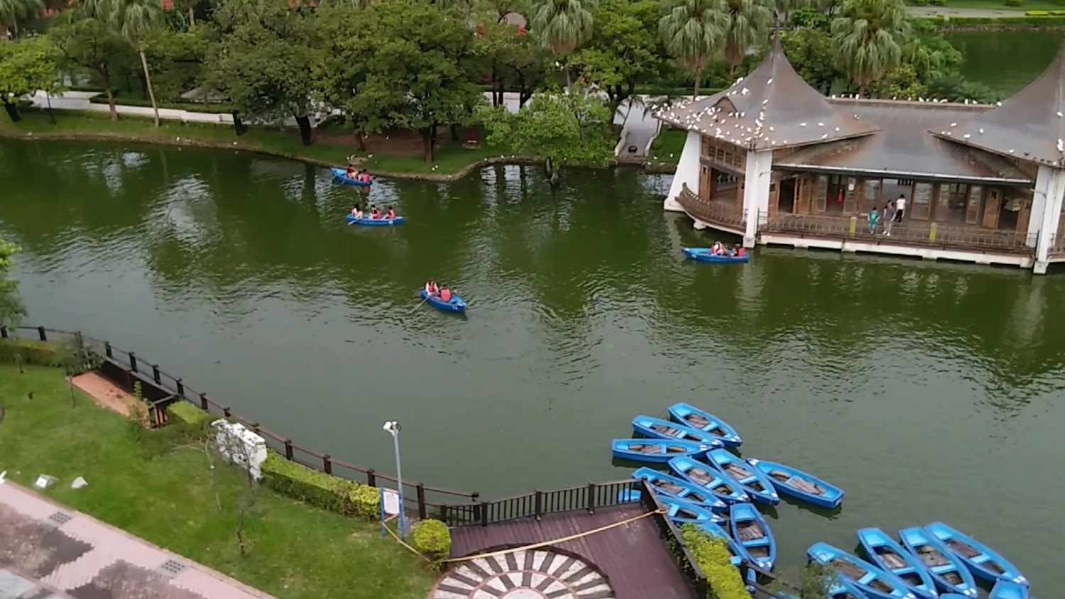 臺中公園湖面划船與湖心亭