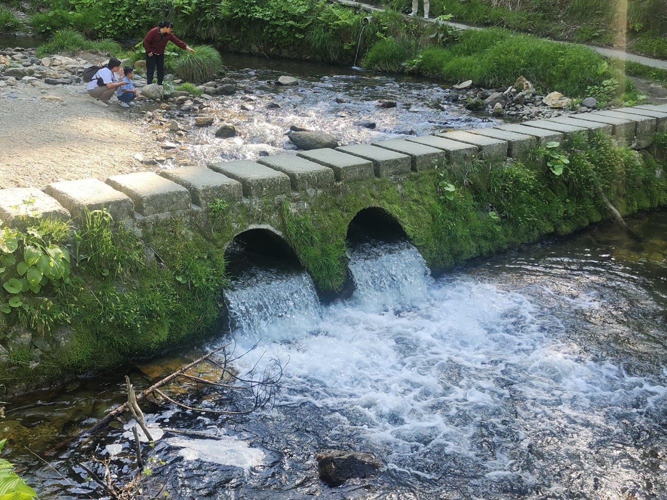 白銀公園溪流與水管橋洞景色