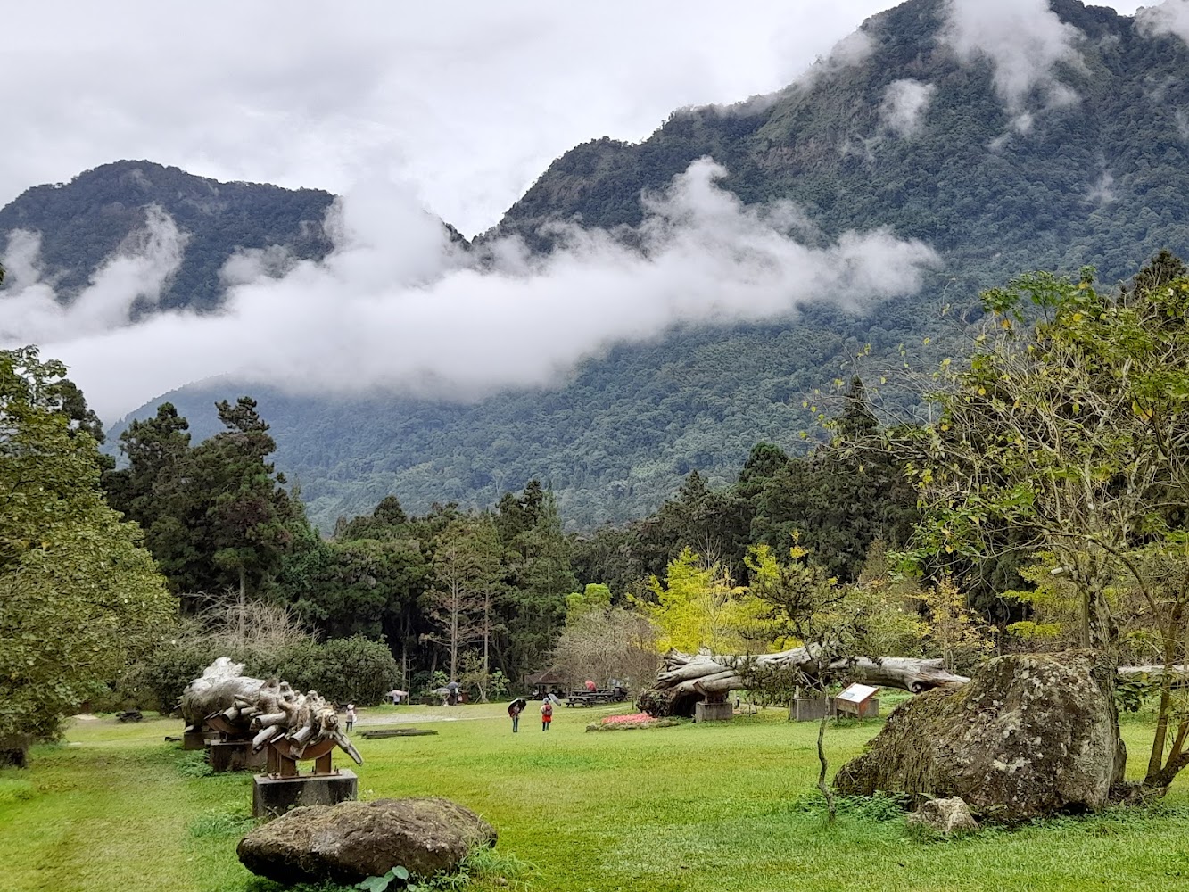 溪頭草地倒木與遠山雲霧景色