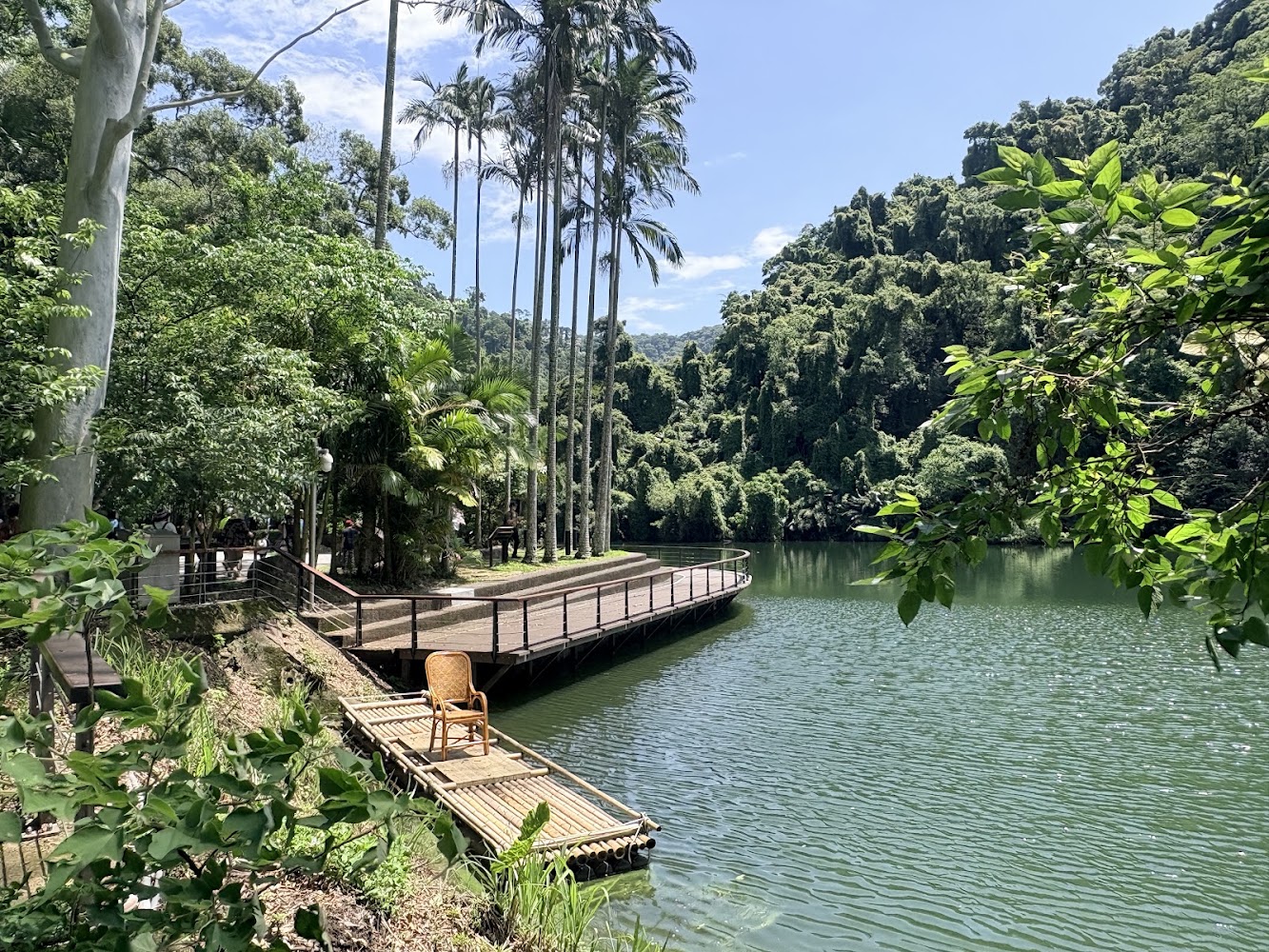 後慈湖湖畔棧道與椰林景觀