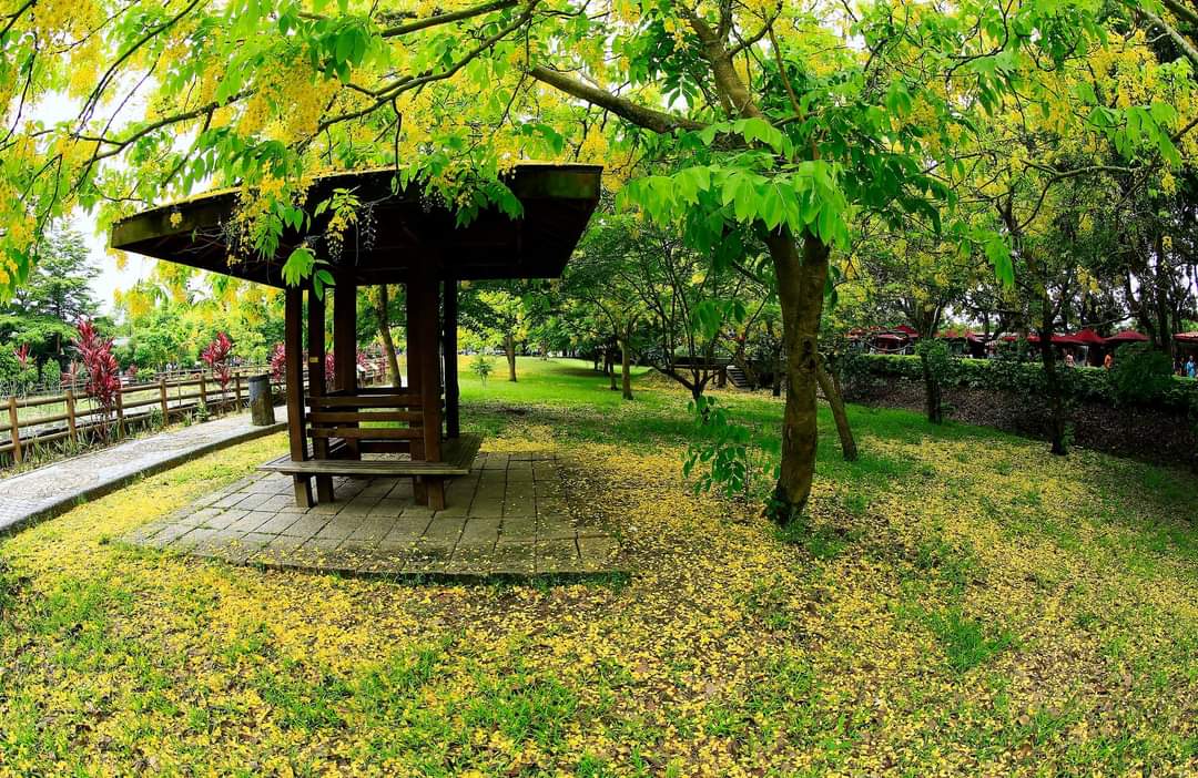公園綠地與木造涼亭景色