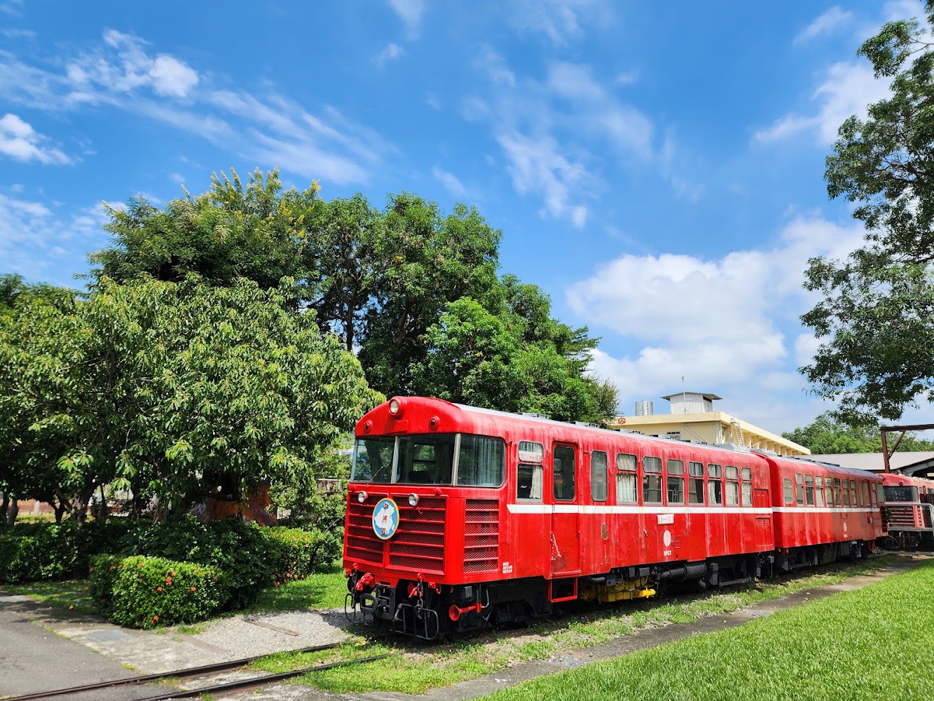 阿里山森林鐵路車庫園區紅色列車與綠樹