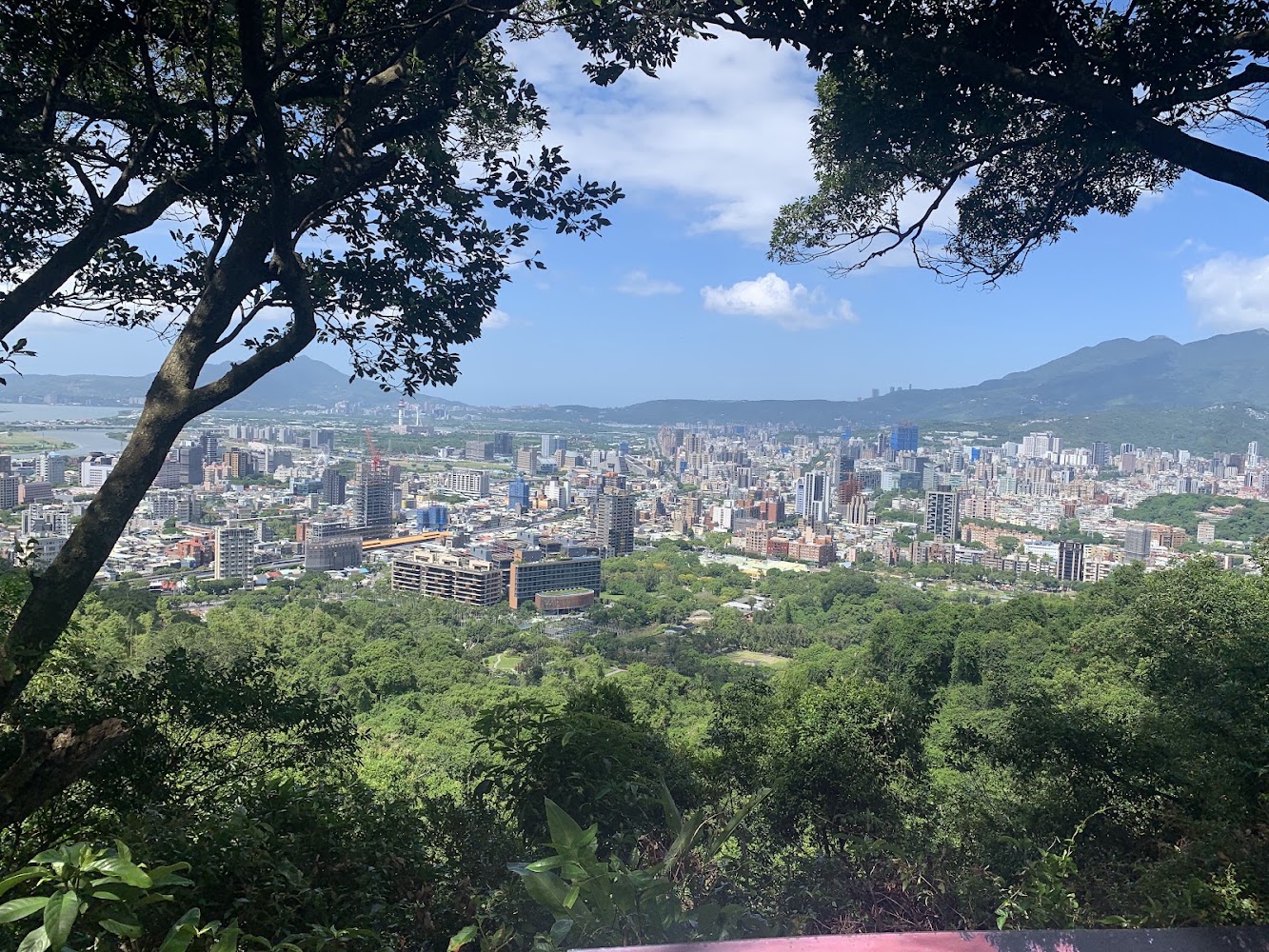 從山上俯瞰城市與綠林景色