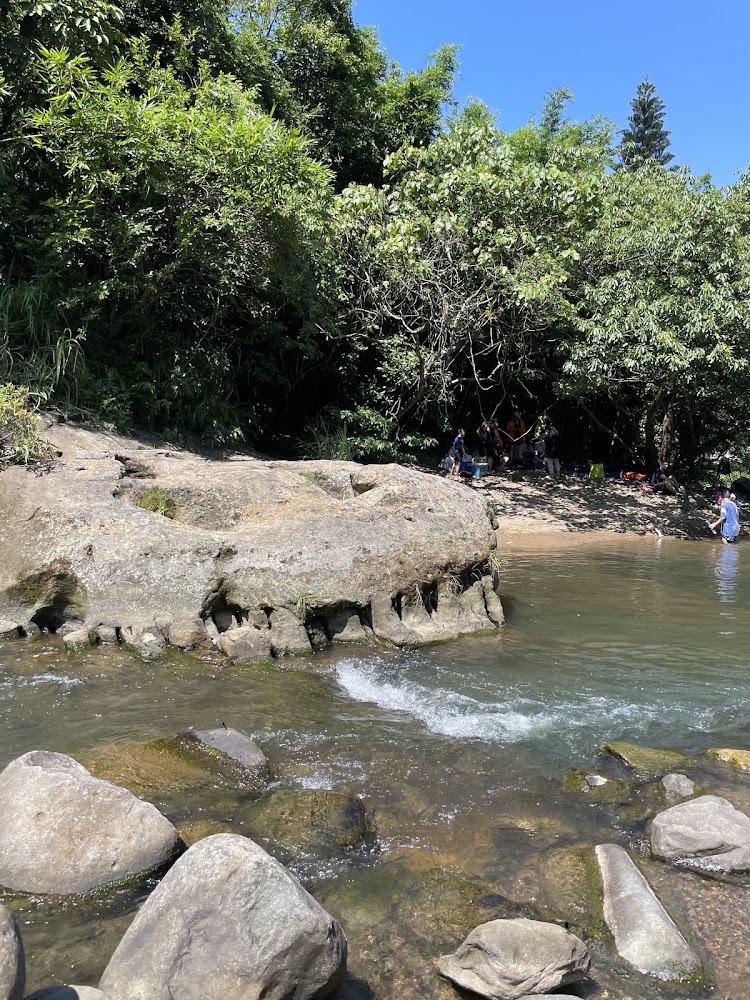 內雙溪戲水區溪流與樹蔭