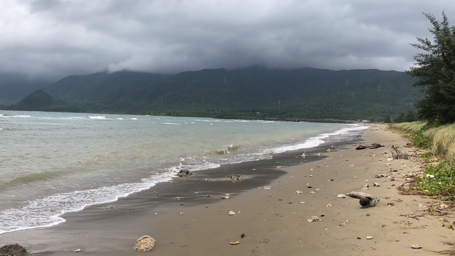 海口沙漠海灘上有石頭與漂流木的自然景觀