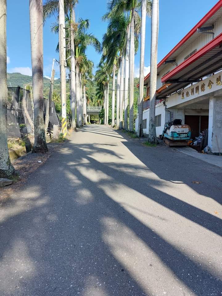 台東筆直道路兩旁棕櫚樹與山景藍天