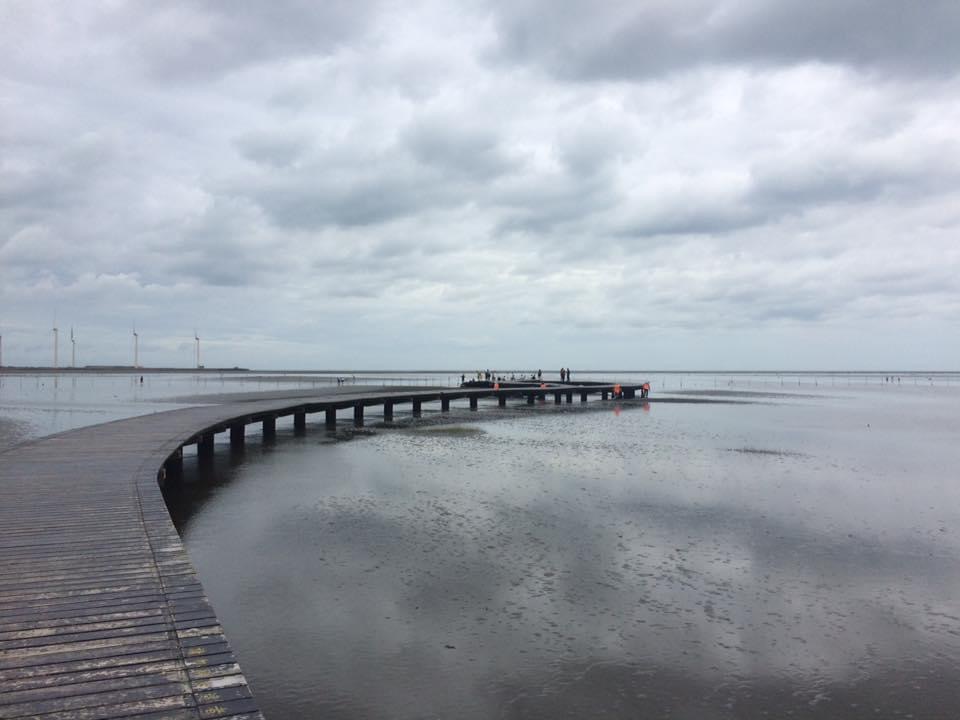 石雕彈塗魚與濕地風車背景
