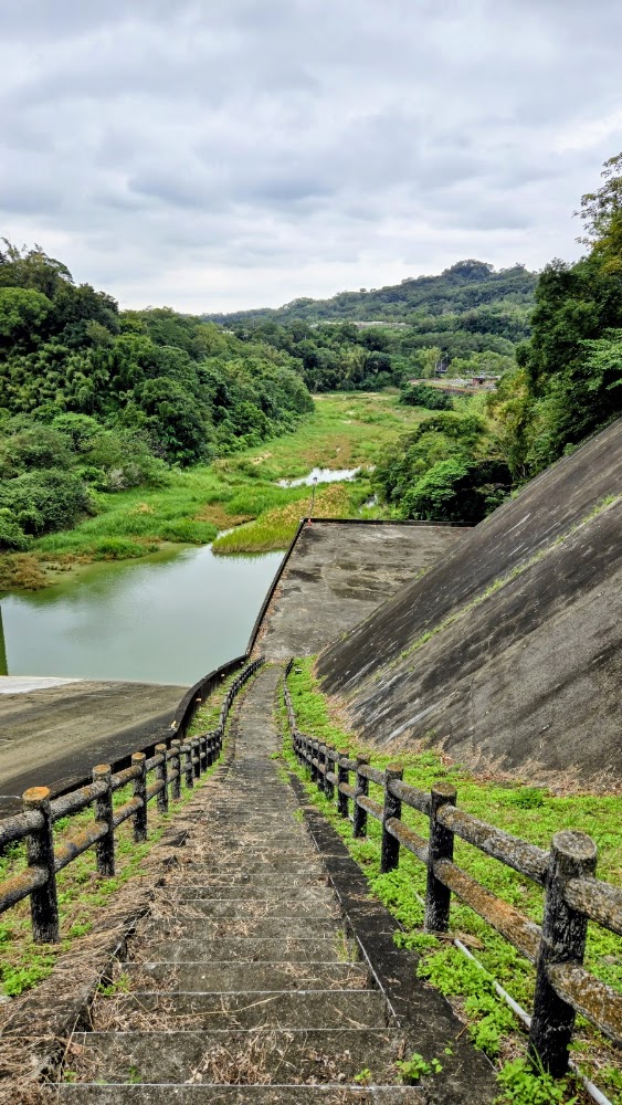 階梯步道下望水域與森林