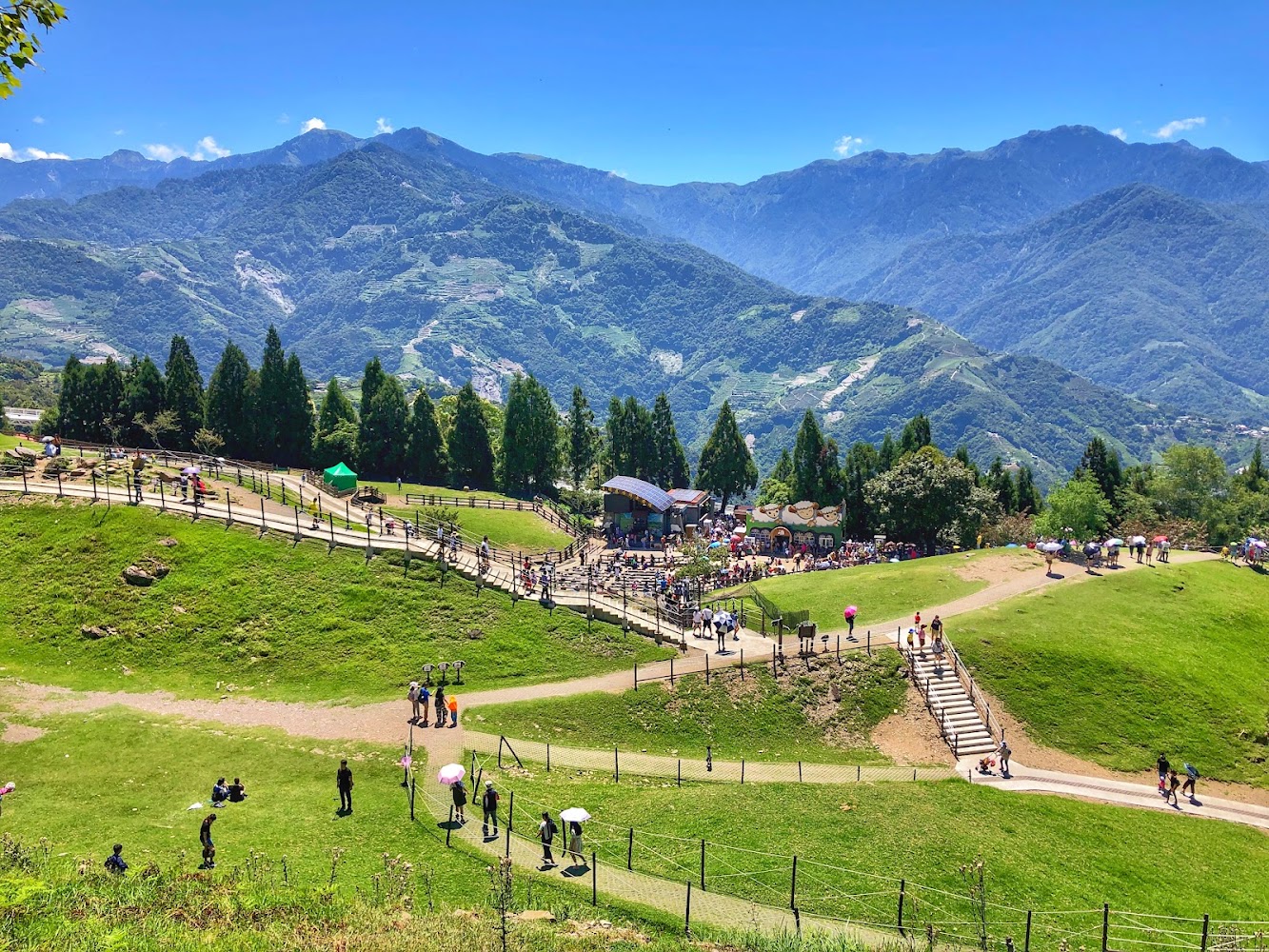 清境農場青青草原步道與山坡景色