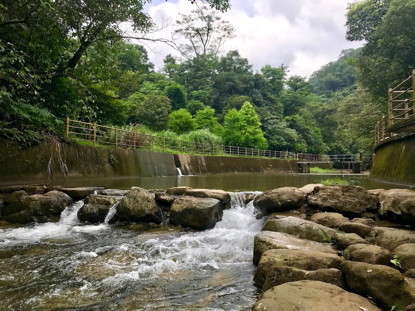 富民親水公園森林溪流景觀