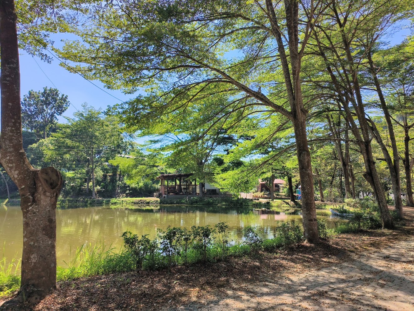 南灣田生態有機農場湖泊與步道