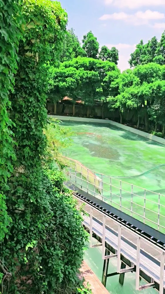 麗寶樂園渡假區綠意水池與步道區