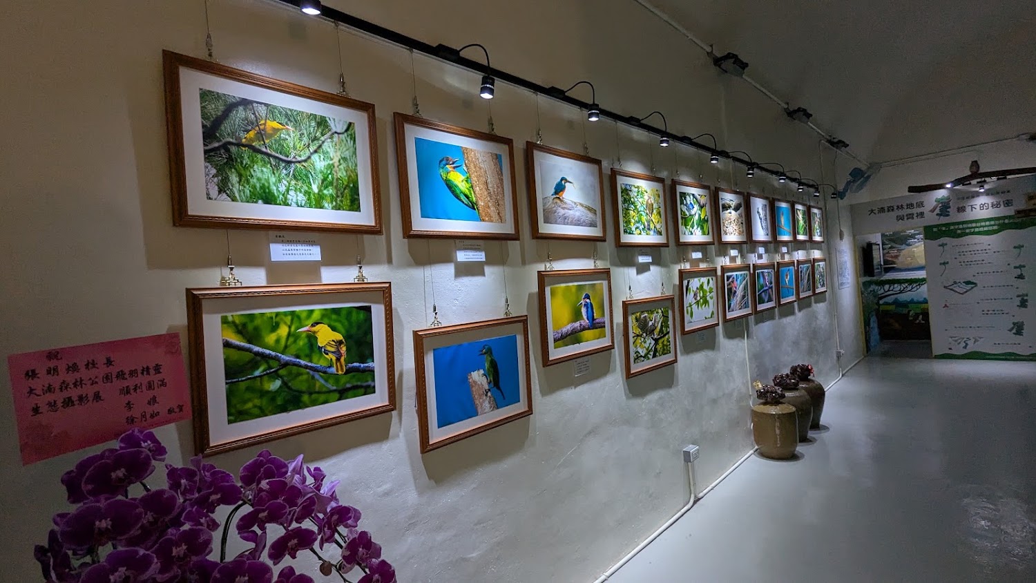 自然生態教育基地鳥類攝影展牆