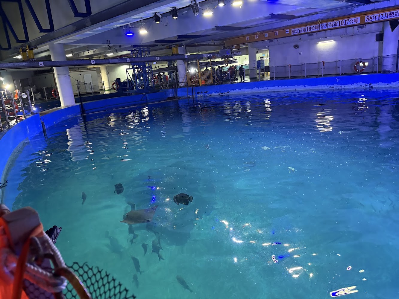 夜宿海生館大型水槽與魚群
