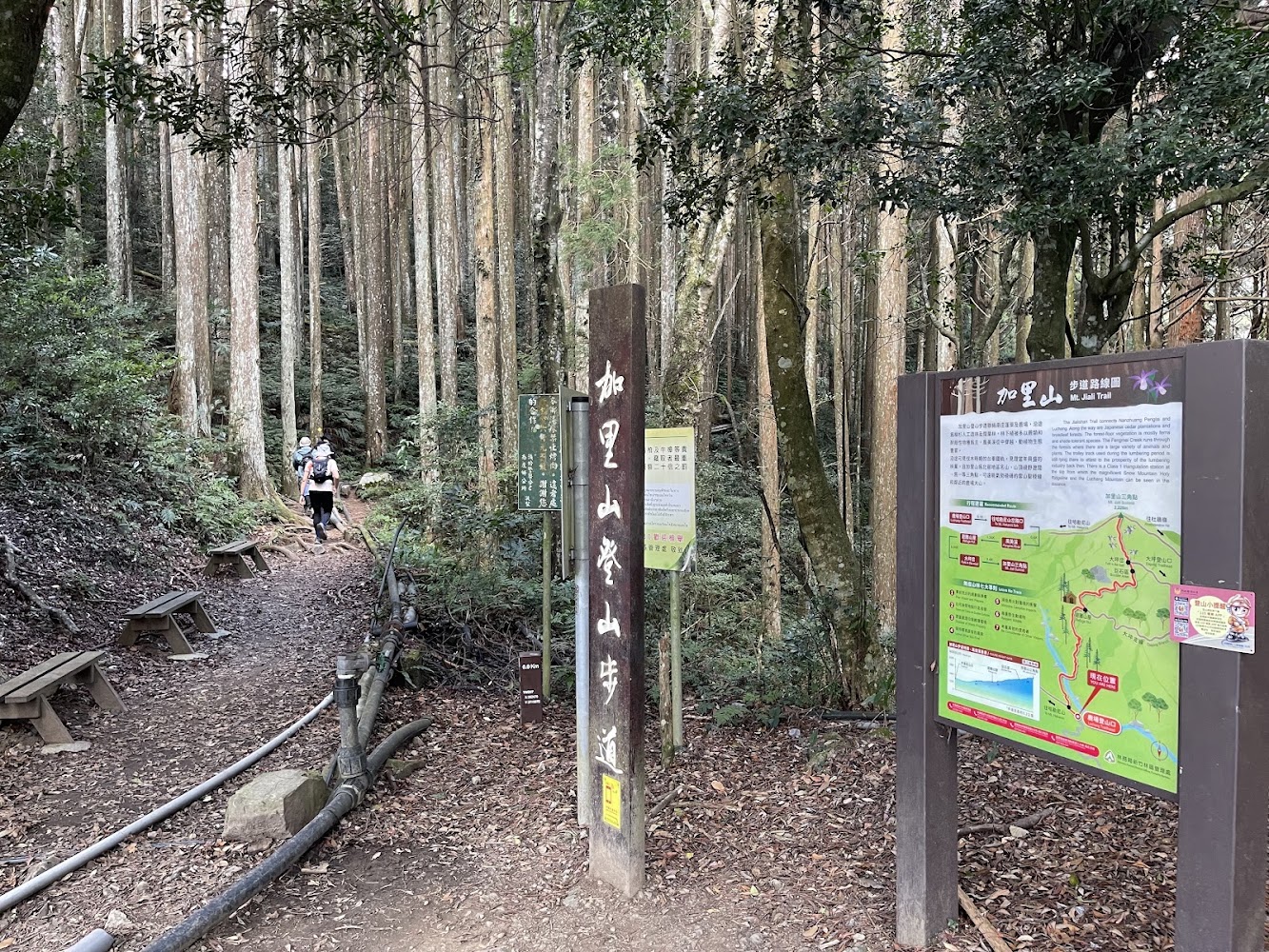 加里山森林步道入口與導覽地圖