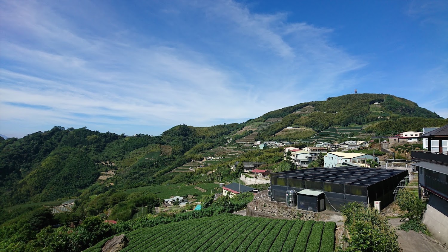 山區農田茶園與村落全景