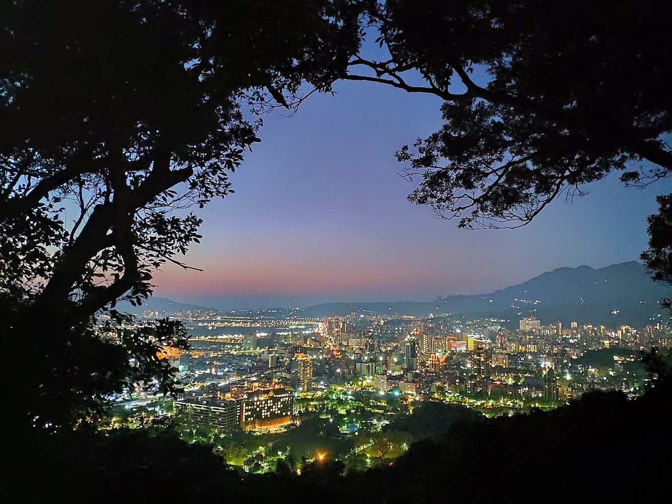 透過樹枝看見老地方觀景平台附近的台北夜色