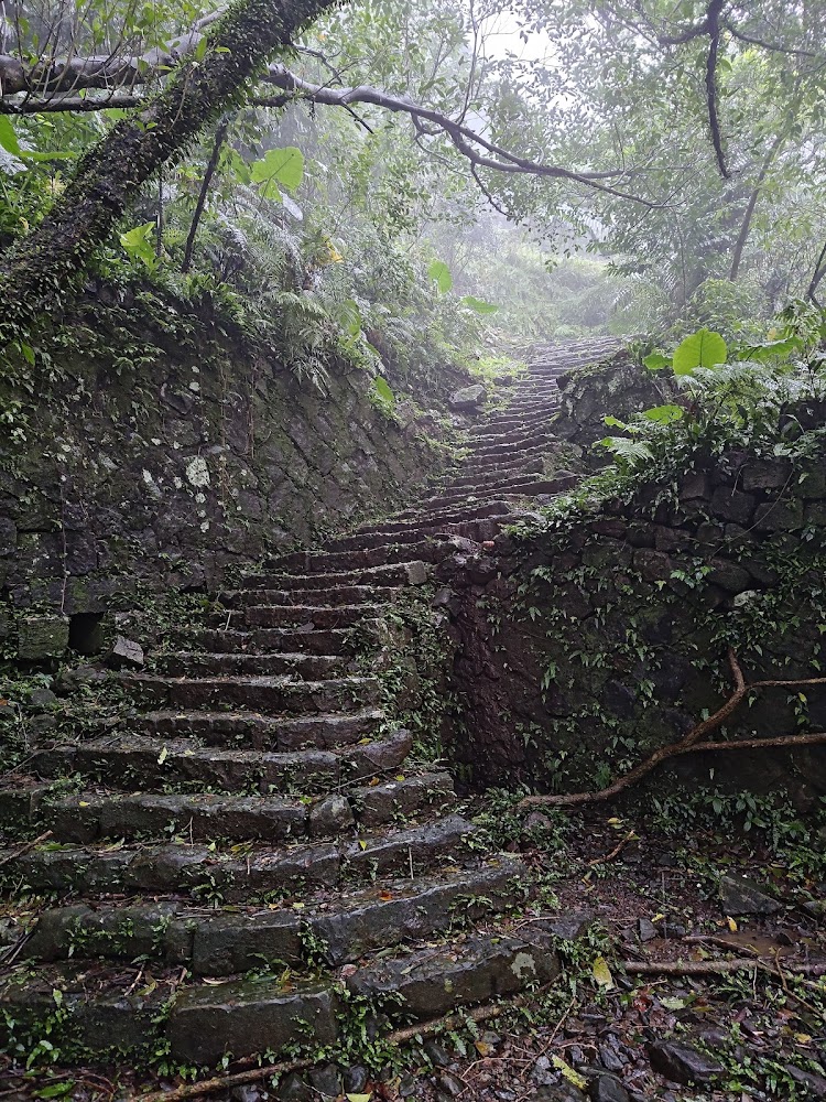 青苔覆蓋的石階步道